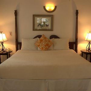 King Room Garden View